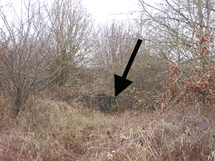 Vue du site BDHE 113 point de repère 149 (source: DIREN Centre)