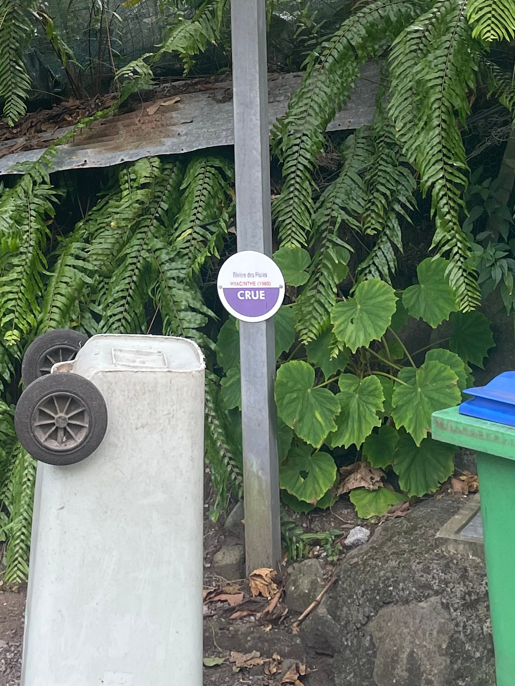 Vue rapprochée du repère, DEAL Réunion, 2023