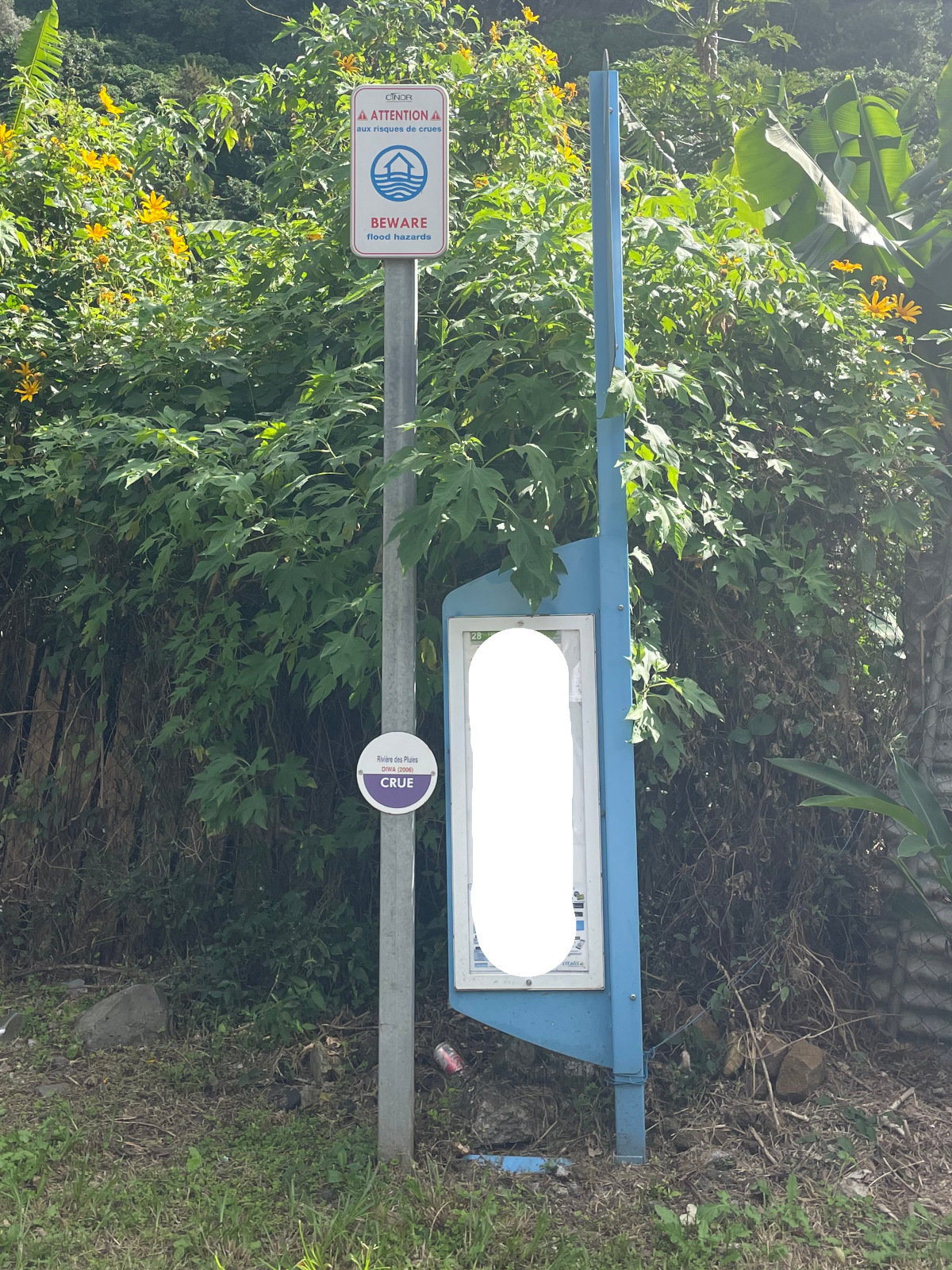 Vue rapprochée du repère, DEAL Réunion, 2023
