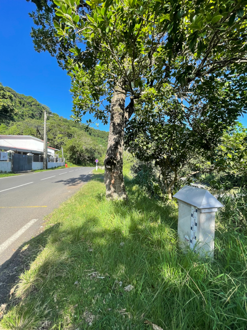 Vue générale du site, DEAL Réunion, 2023