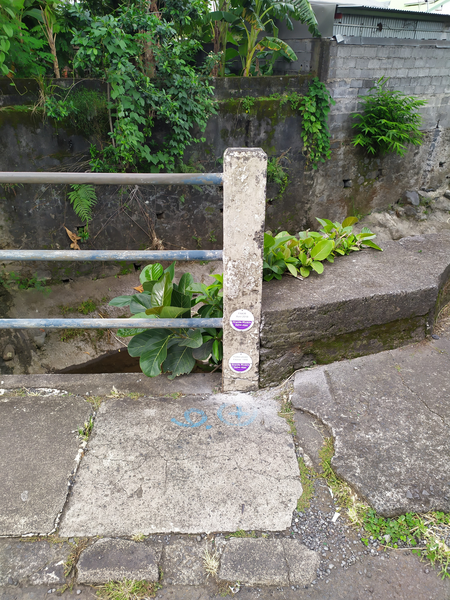 Vue générale du site, DEAL Réunion, 2023