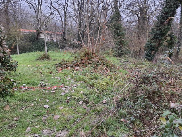 Sol debris vegetaux Photo © AGERIN