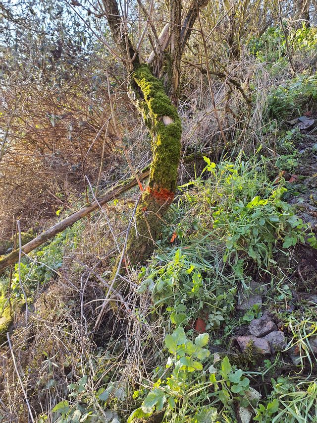Photo © AGERIN