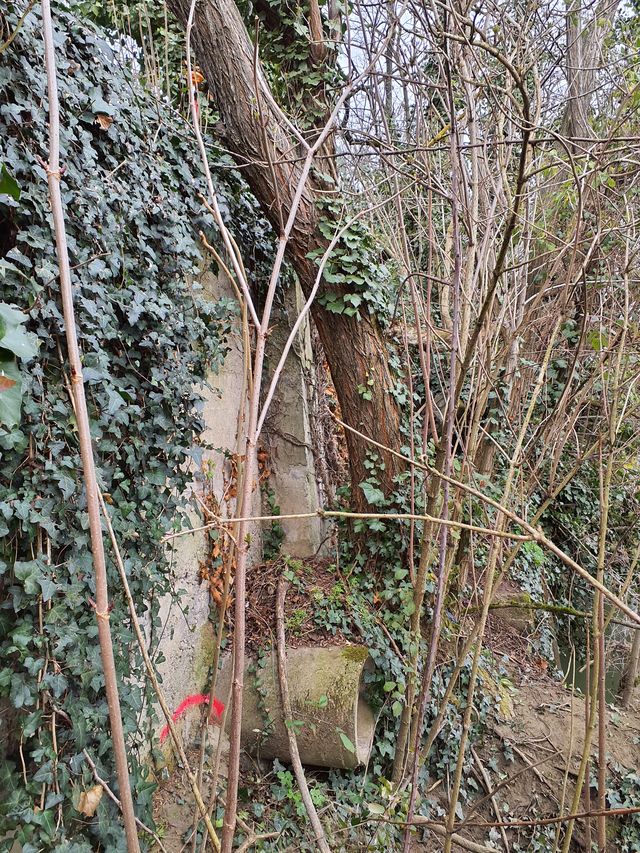Marque sur structure Photo © AGERIN