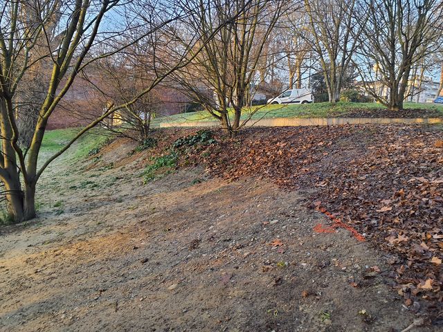 Marque sur feuillage Photo © AGERIN