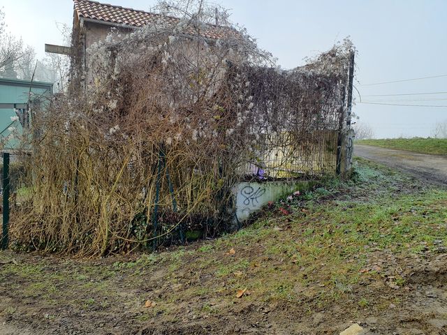 Marque sur végétaux Photo © AGERIN