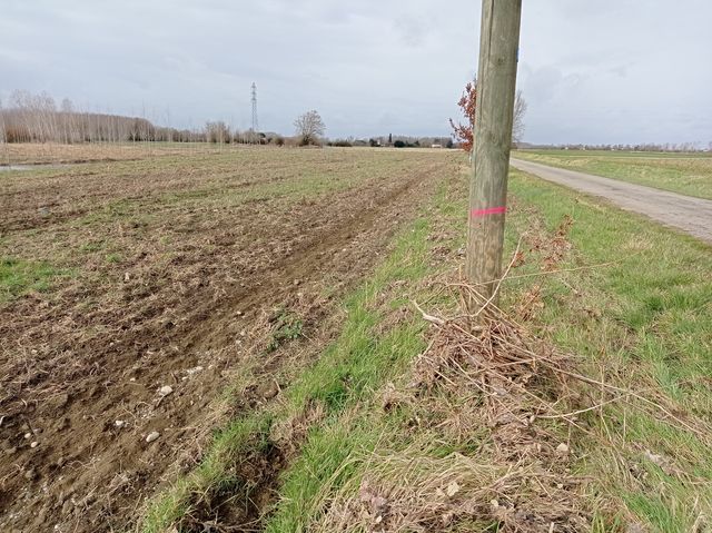 Marque sur poteau électrique Photo © AGERIN