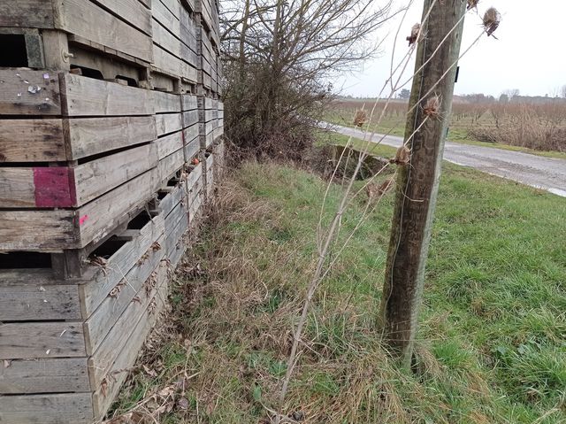 Marque sur pallox Photo © AGERIN