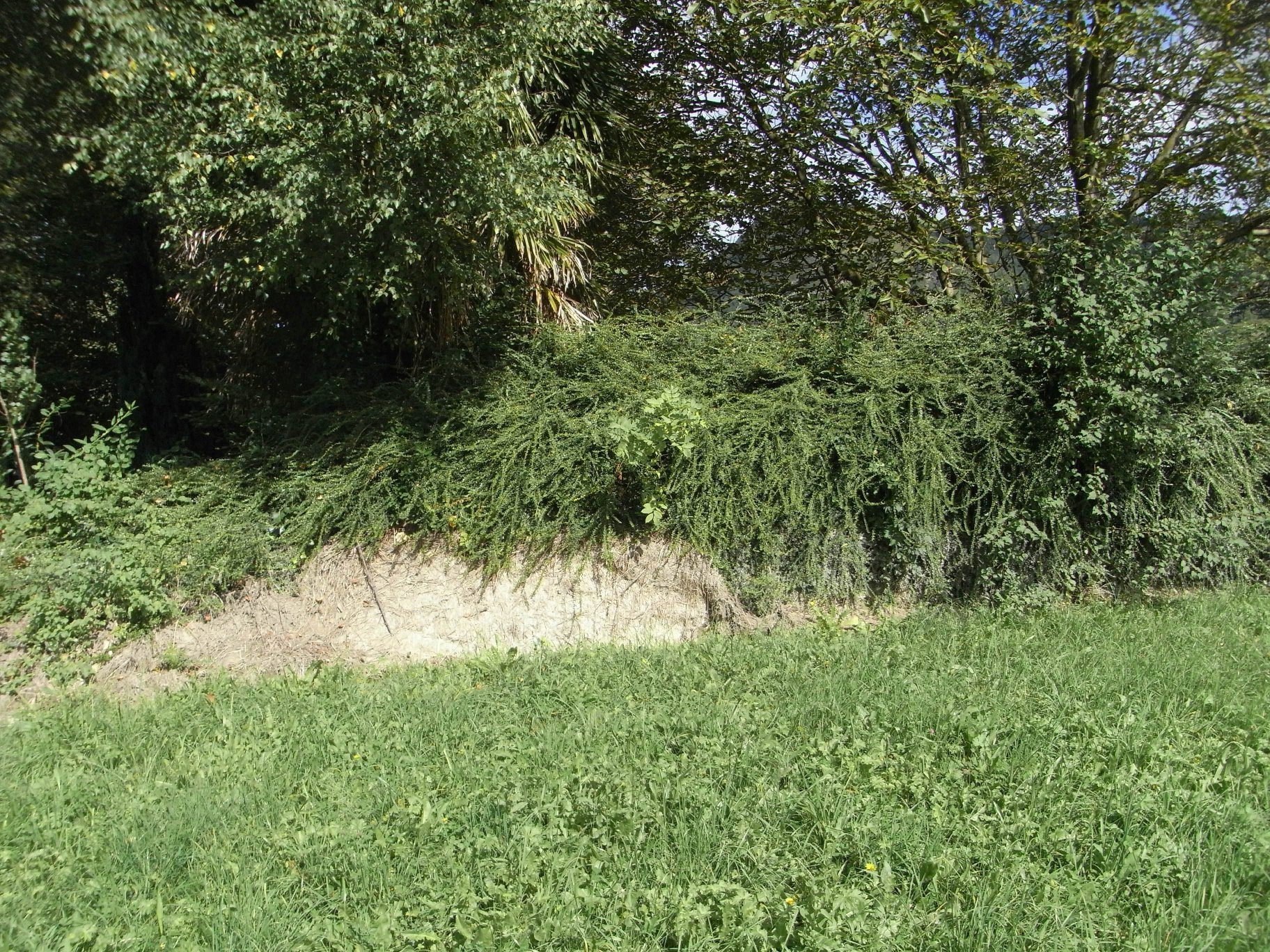 Vue du repère