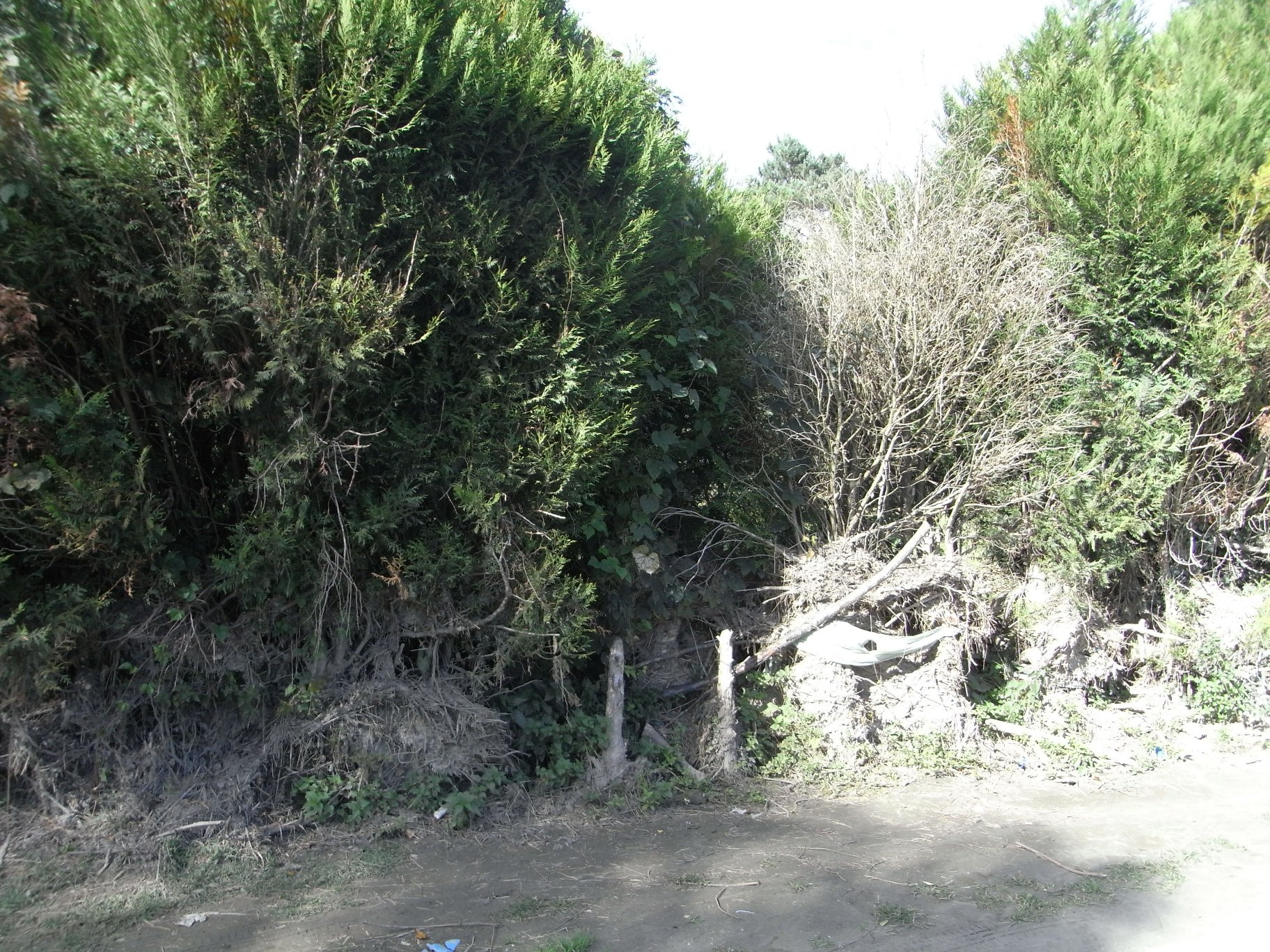 Vue du repère