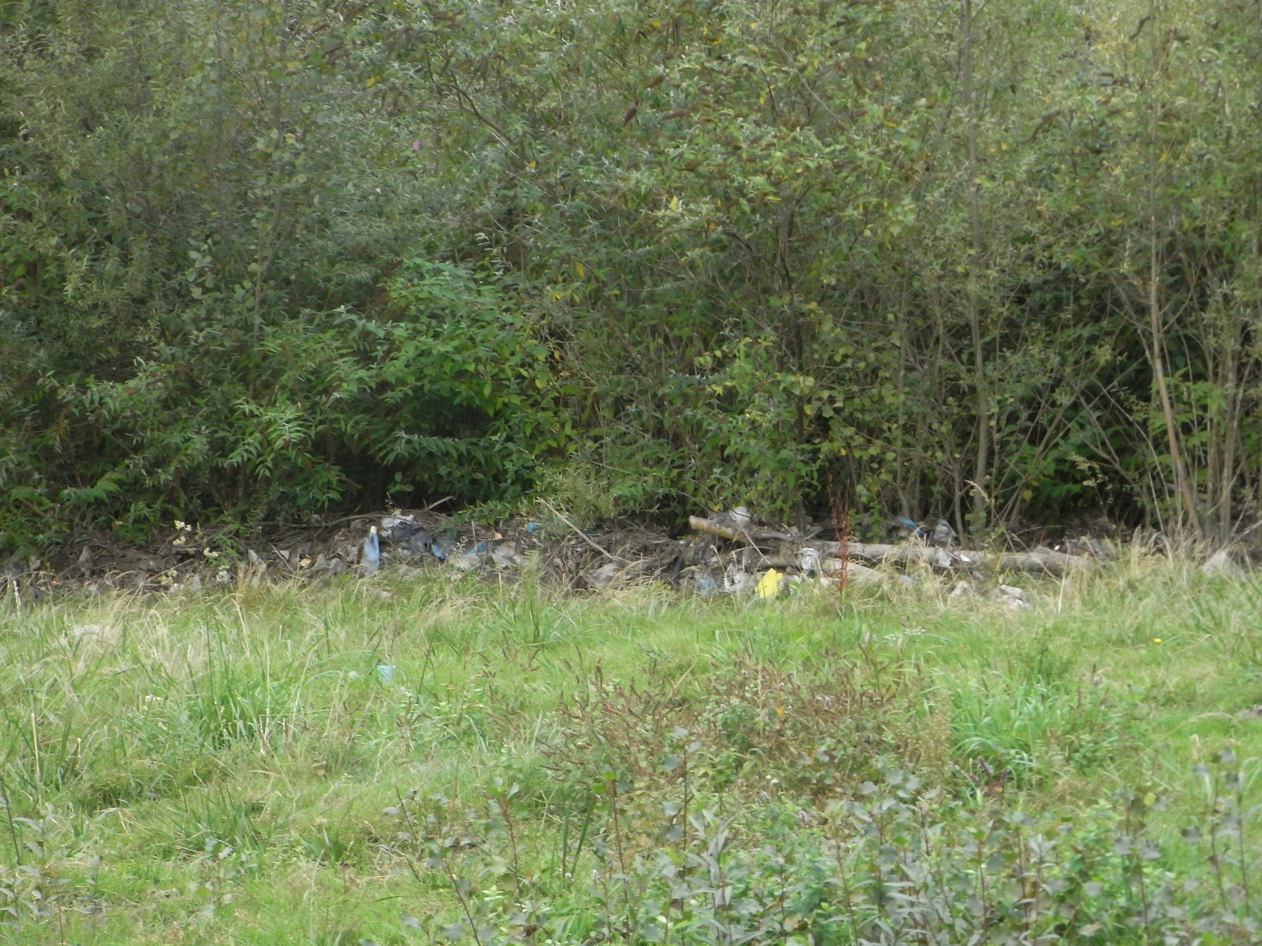 Vue du repère