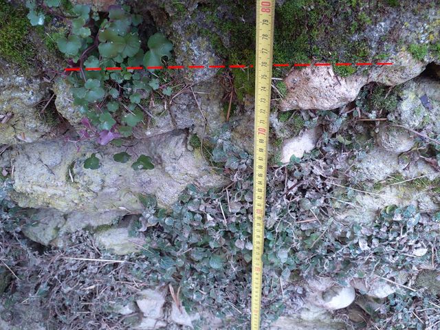  Photo © SURVEY