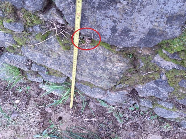  Photo © SURVEY