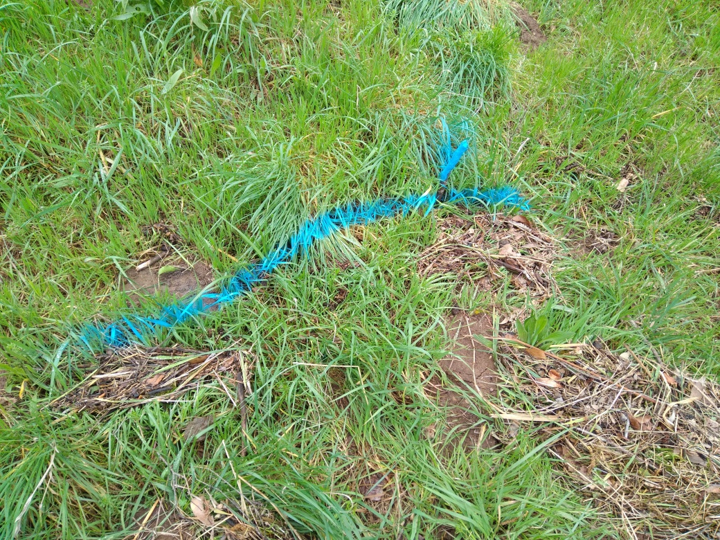 Dépôt dans l'herbe