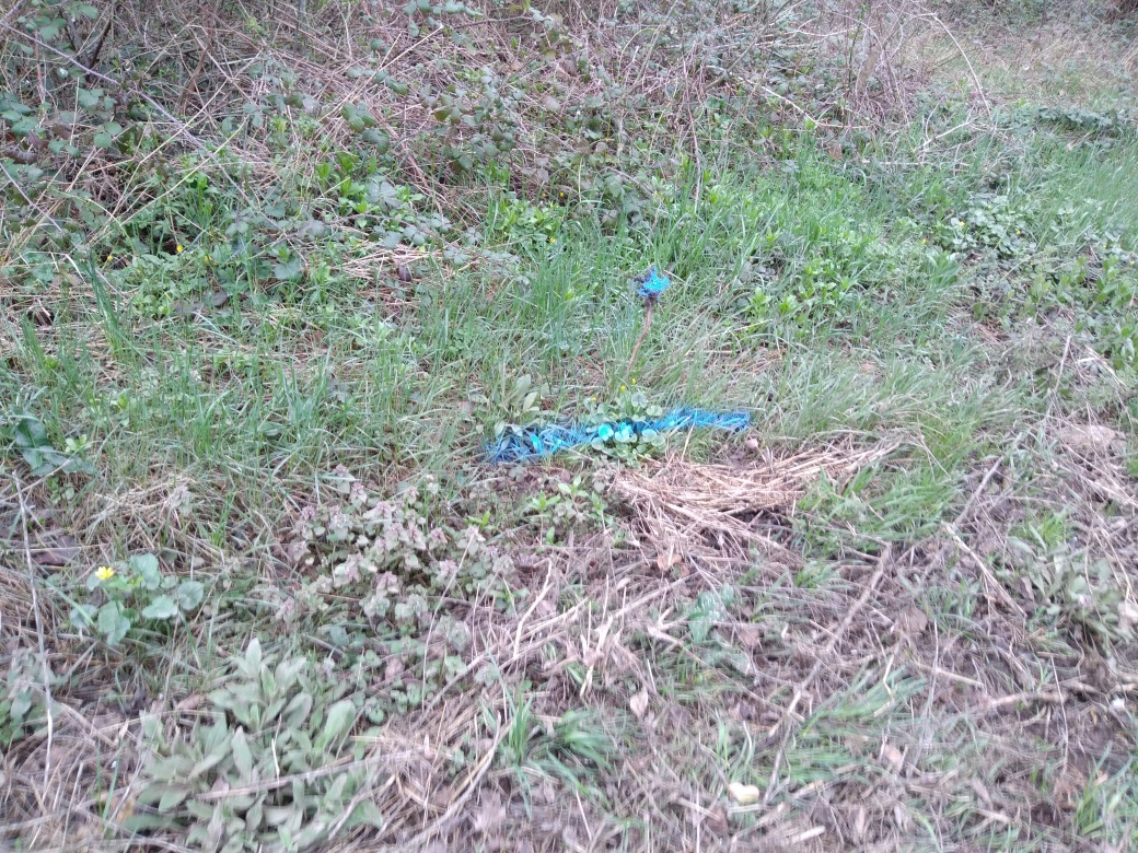 Dépôt dans l'herbe
