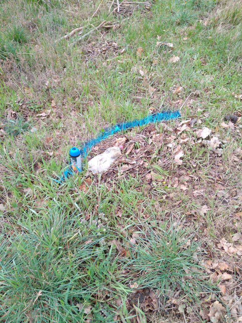 Dépôt dans l'herbe