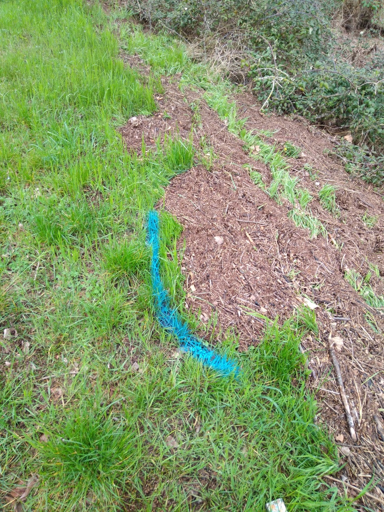 Dépôt dans l'herbe