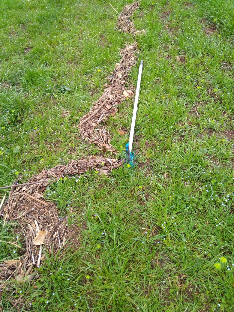 Dépôt dans l'herbe