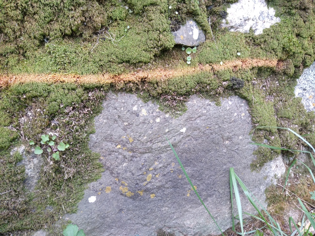 Trace sur le mur