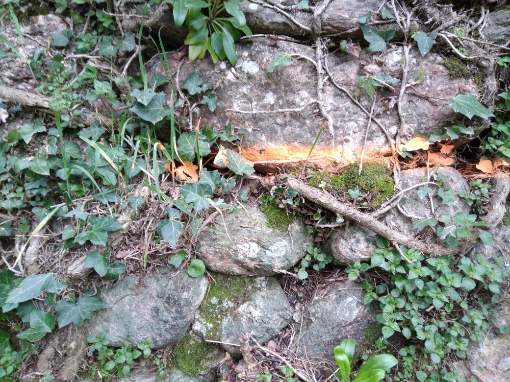 Trace sur le mur