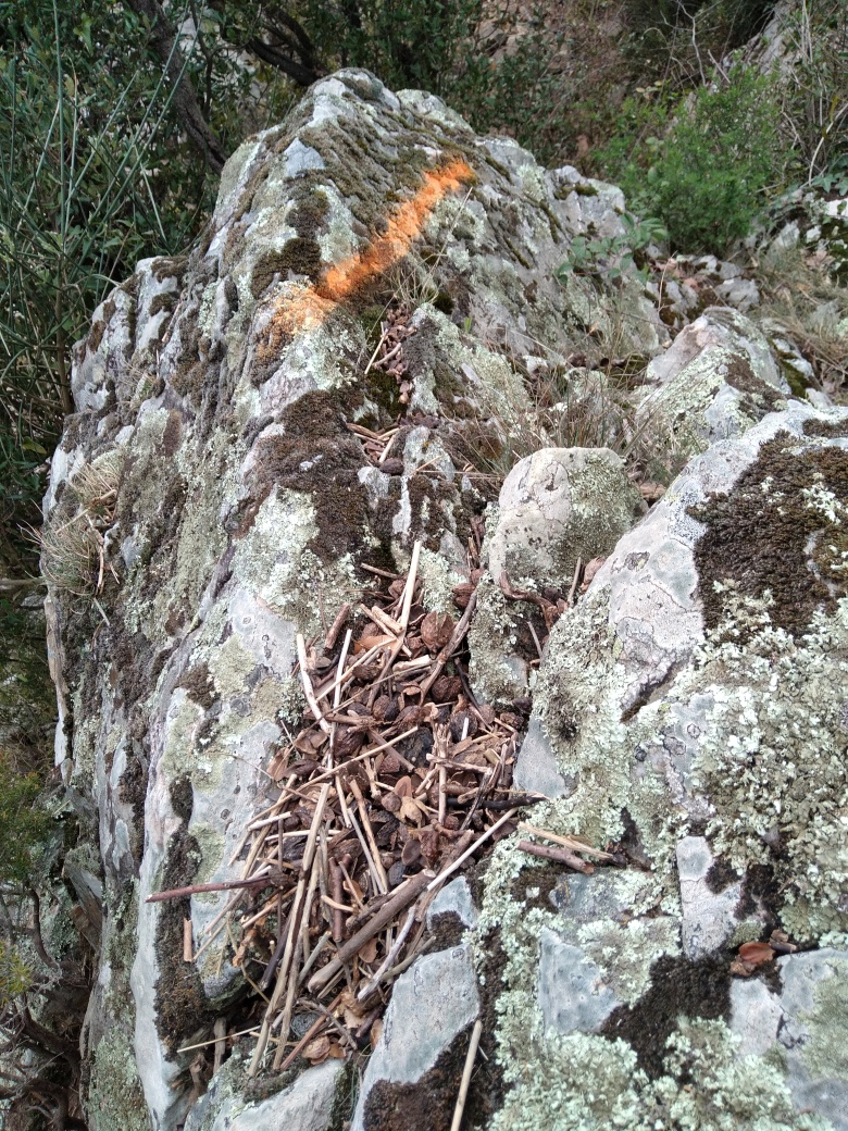 Dépôt sur la roche
