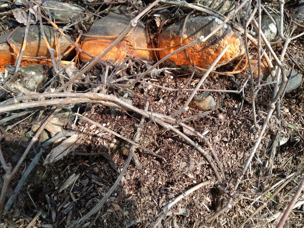 Trace dans les gabions