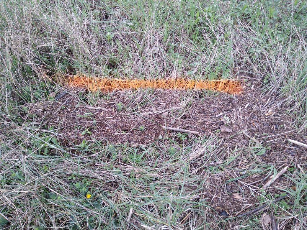 Dépôt dans l'herbe