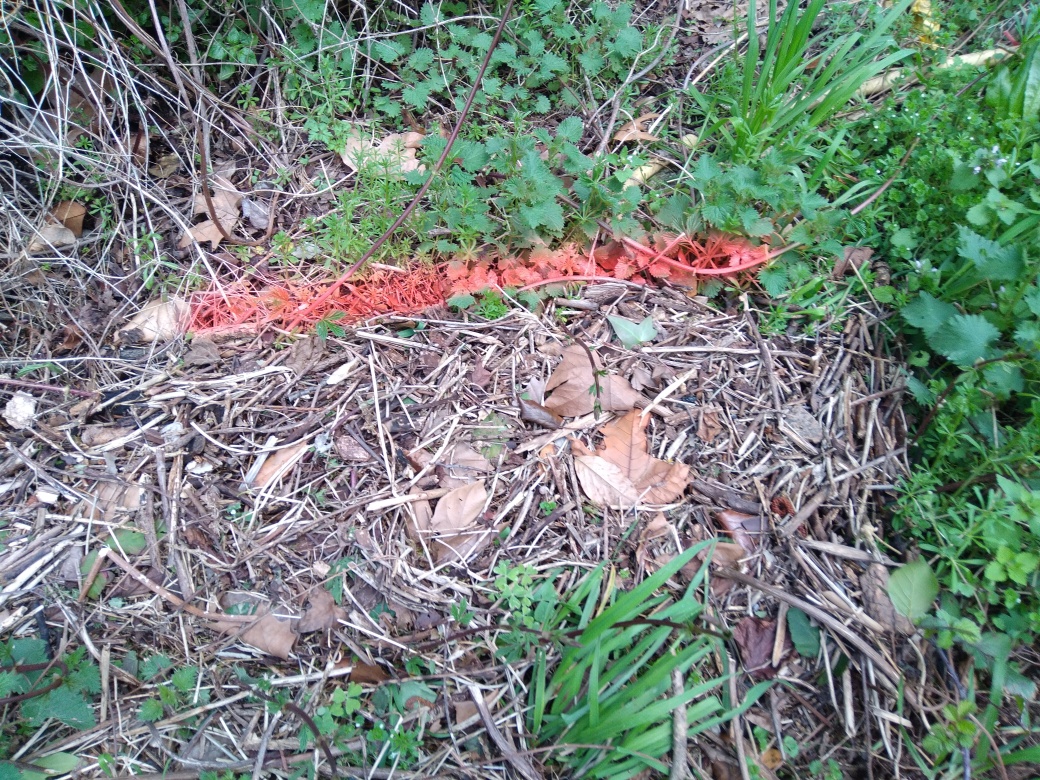 Dépôt sur le chemin