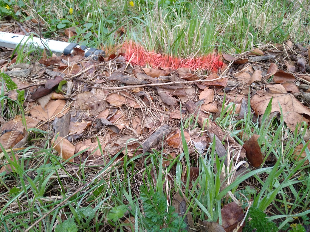 Dépôt dans l'herbe