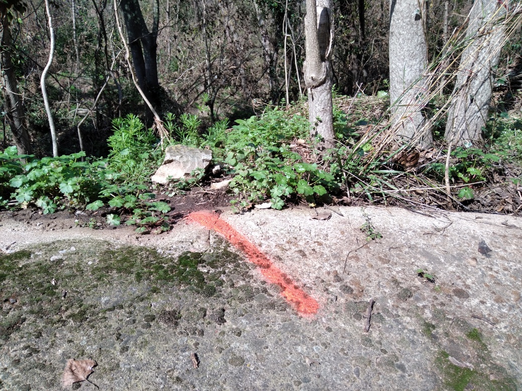 Dépôt en bord de chemin, reporté sur le béton