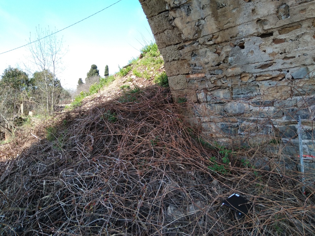 Arche du pont