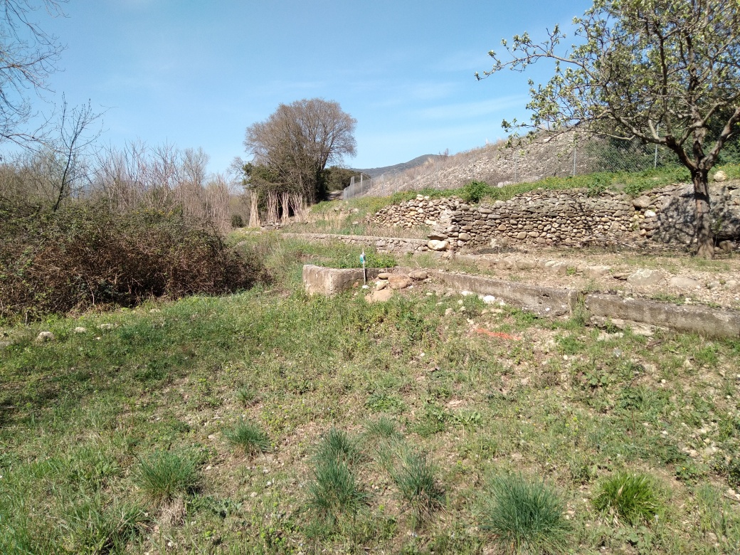 Talus