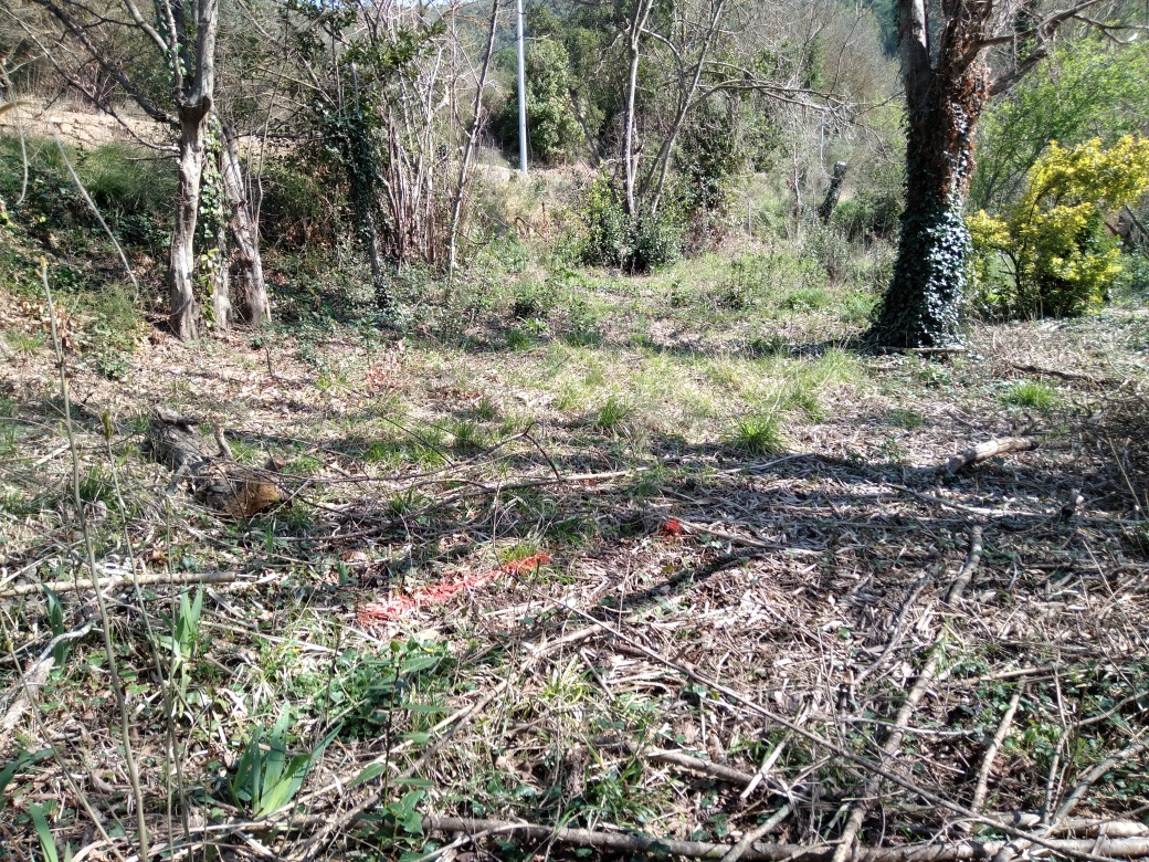 Terrain sous le chemin