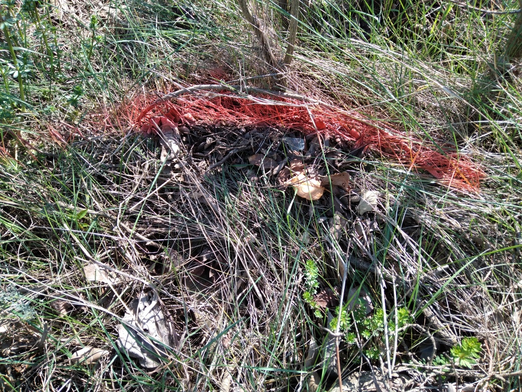 Dépôt sur le muret