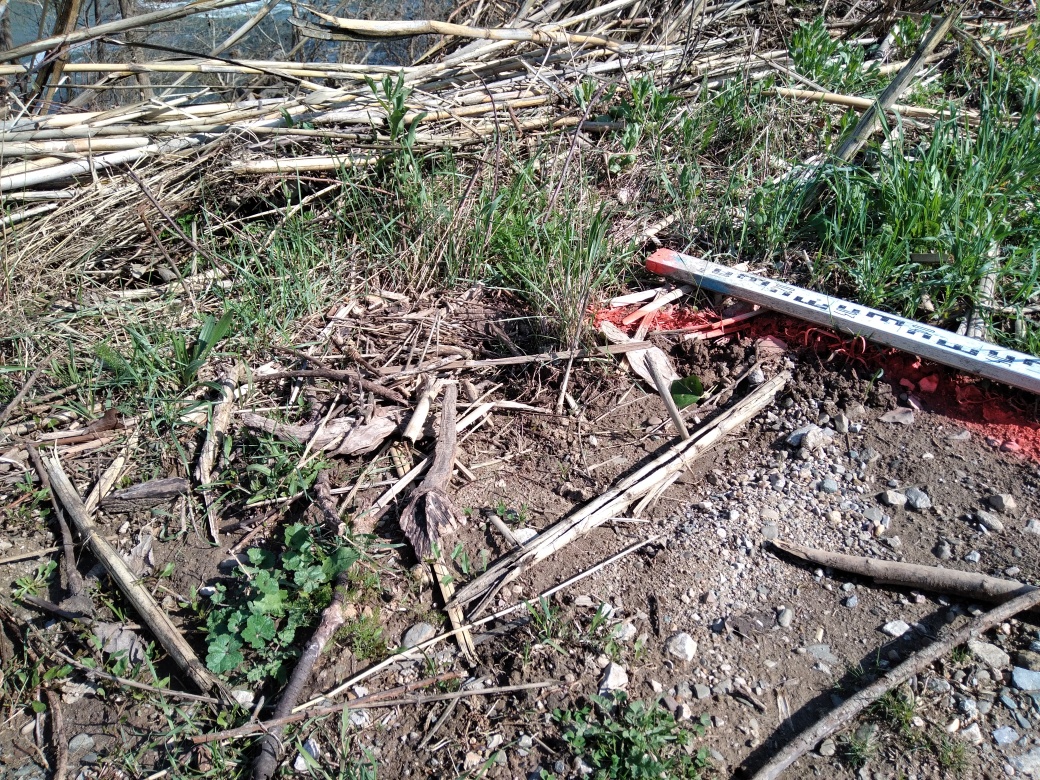 Dépôt sur le chemin