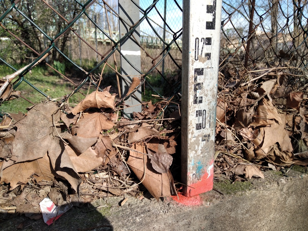 Débris végétaux accrochés au grillage