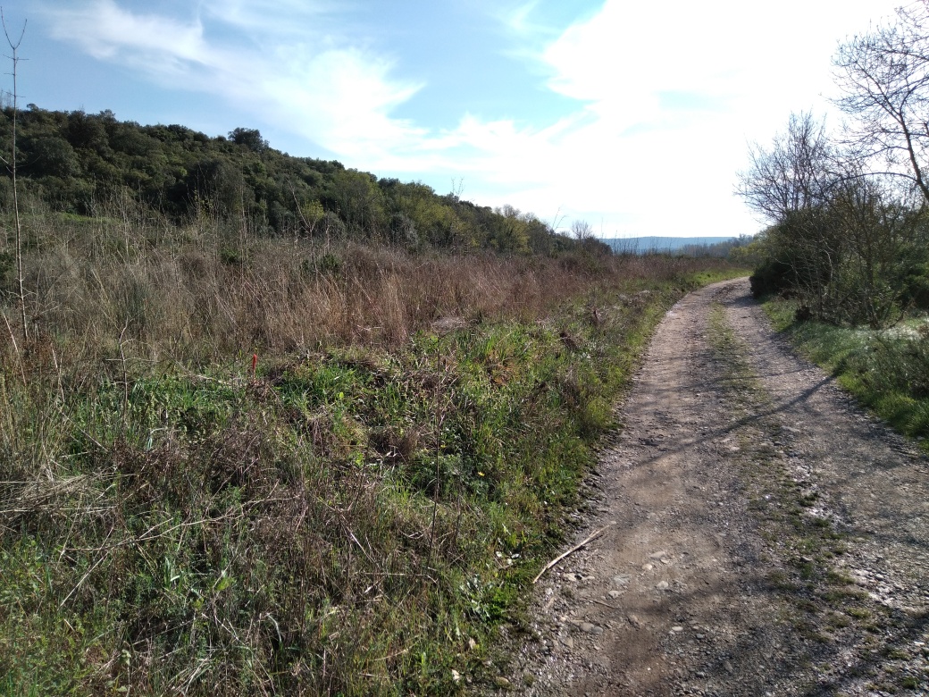 Talus de bord de chemin