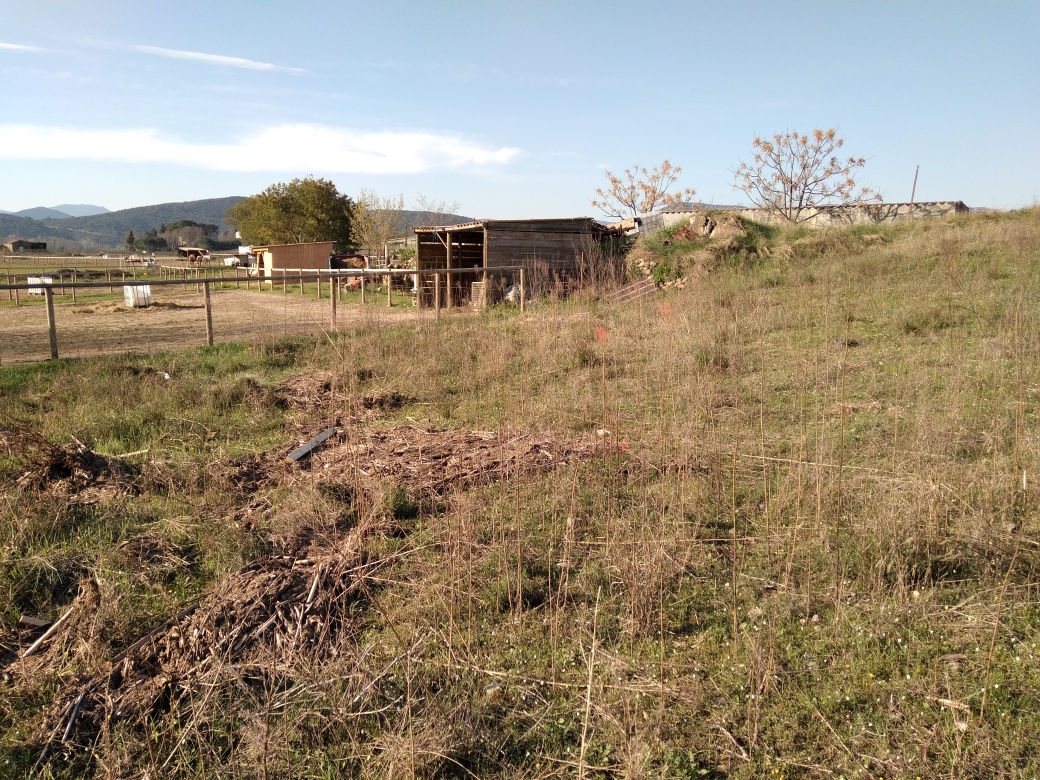 Prairie