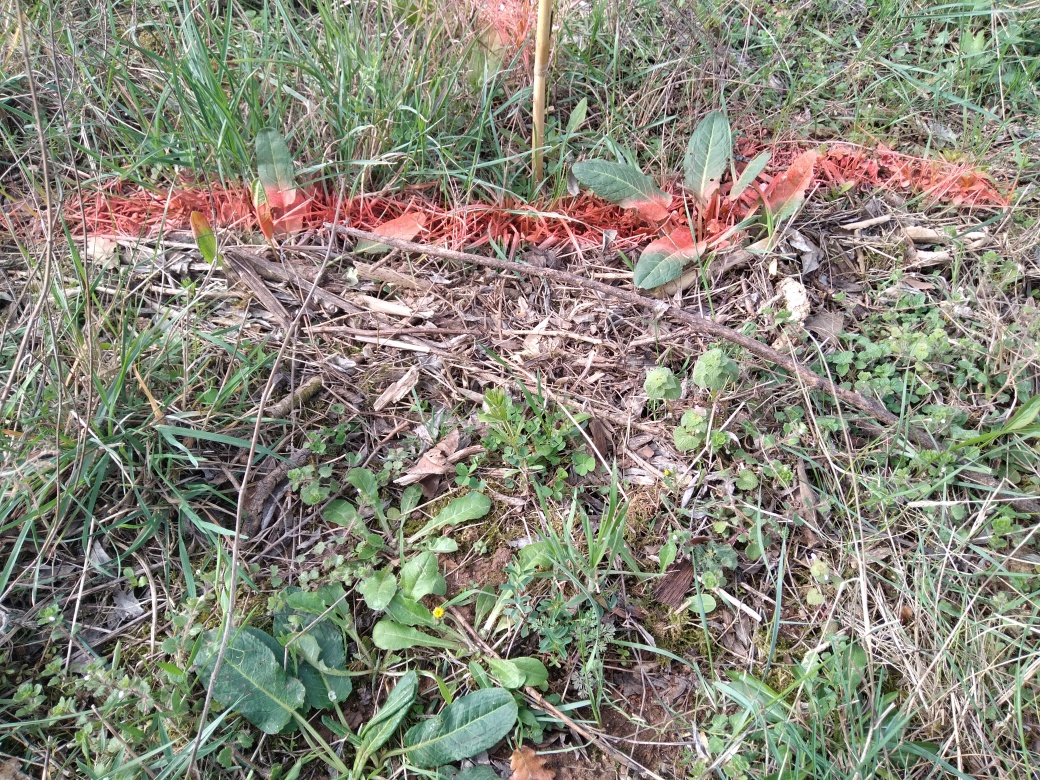 Dépôt en bord de chemin