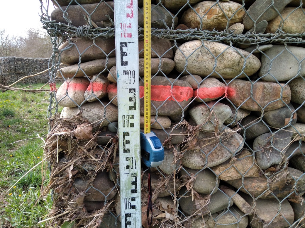 Débris végétaux accrochés aux gabions