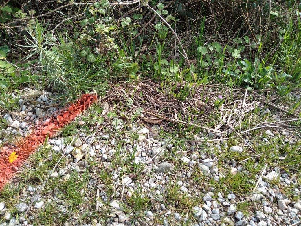 Dépôt au bord du chemin