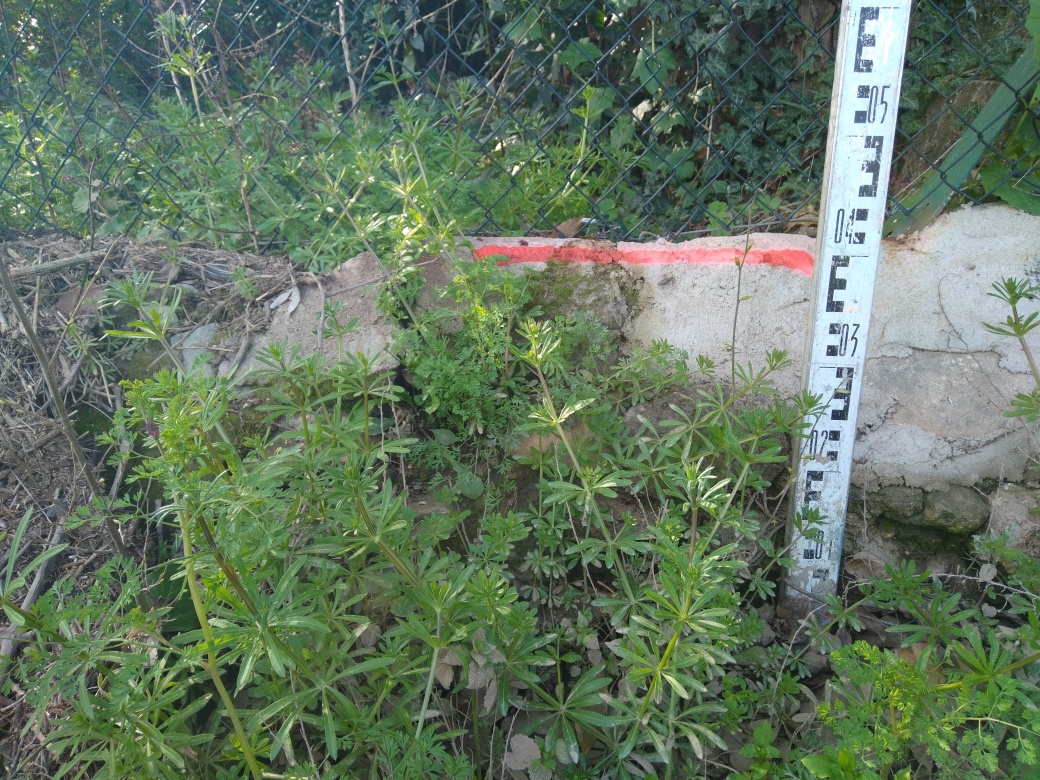 Dépôt contre la clôture