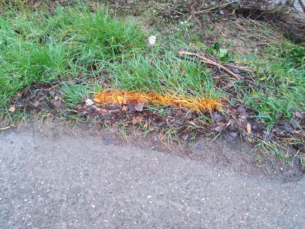 Dépôt en bord de route