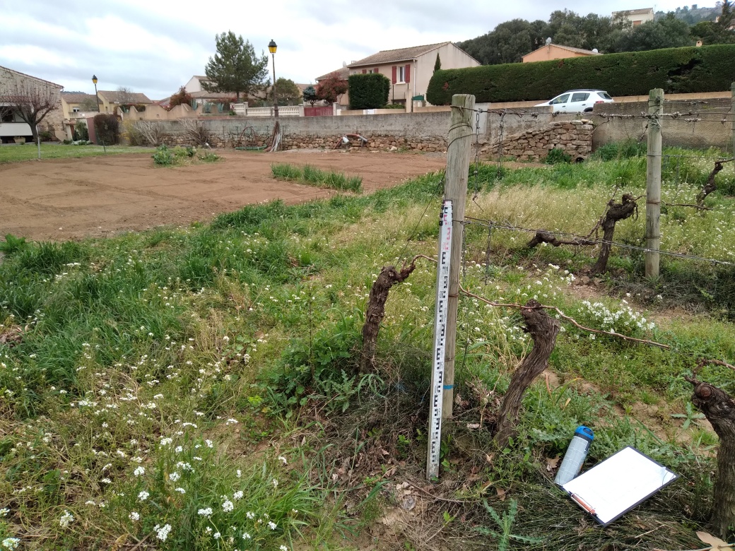 Piquet de vigne