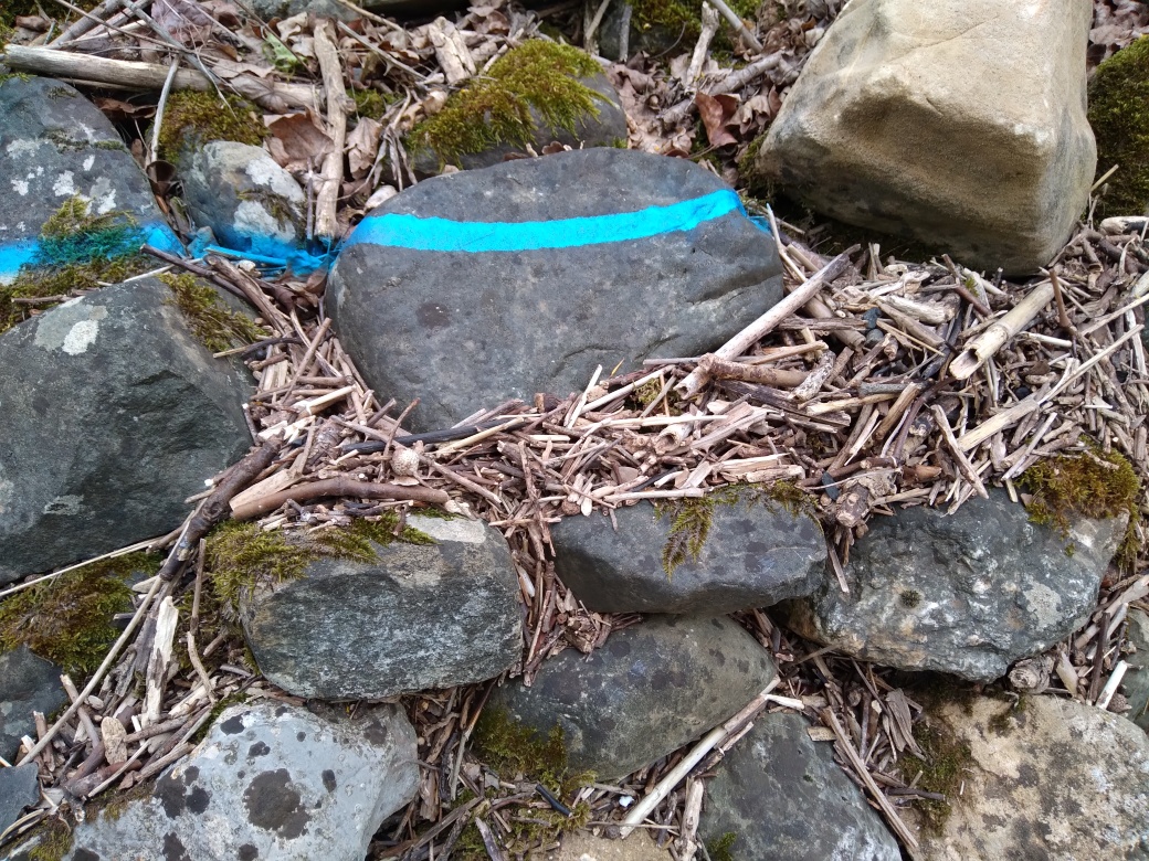 Dépôt sur les gabions