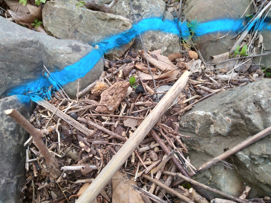 Dépôt sur les gabions