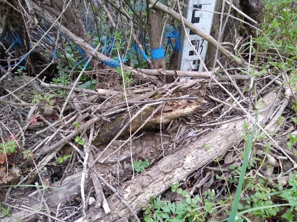 Dépôt contre un genet