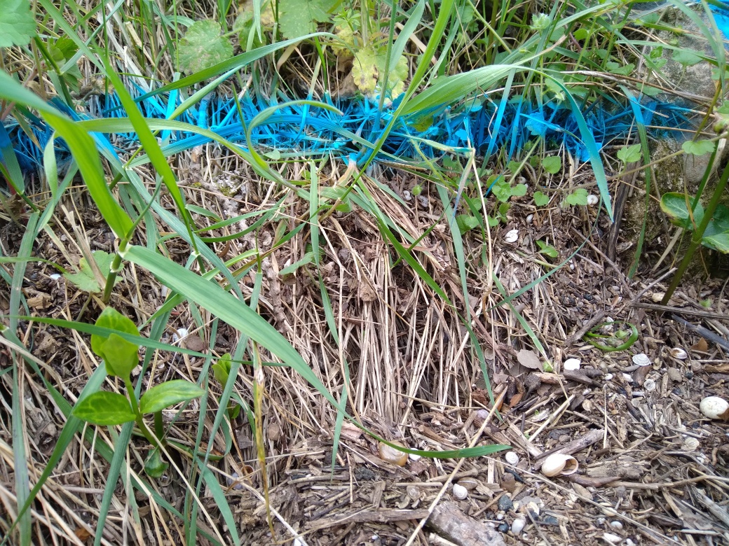 Dépôt enhaut de berge
