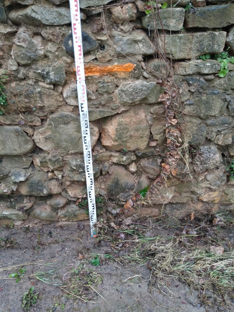 Débris végétaux accrochés au mur