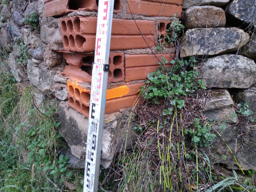 Débris végétaux accrochés au mur
